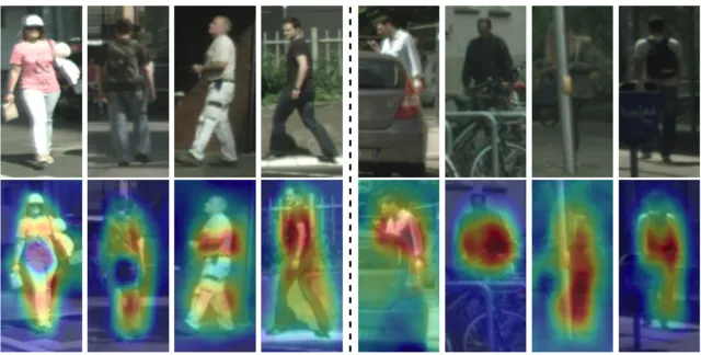 Feature Calibration Network for Occluded Pedestrian Detection
