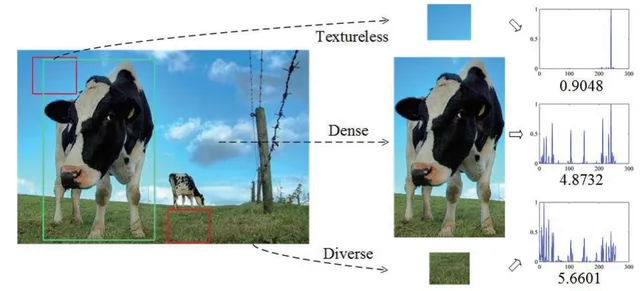 Texture Complexity based Redundant Regions Ranking for Object Proposal
